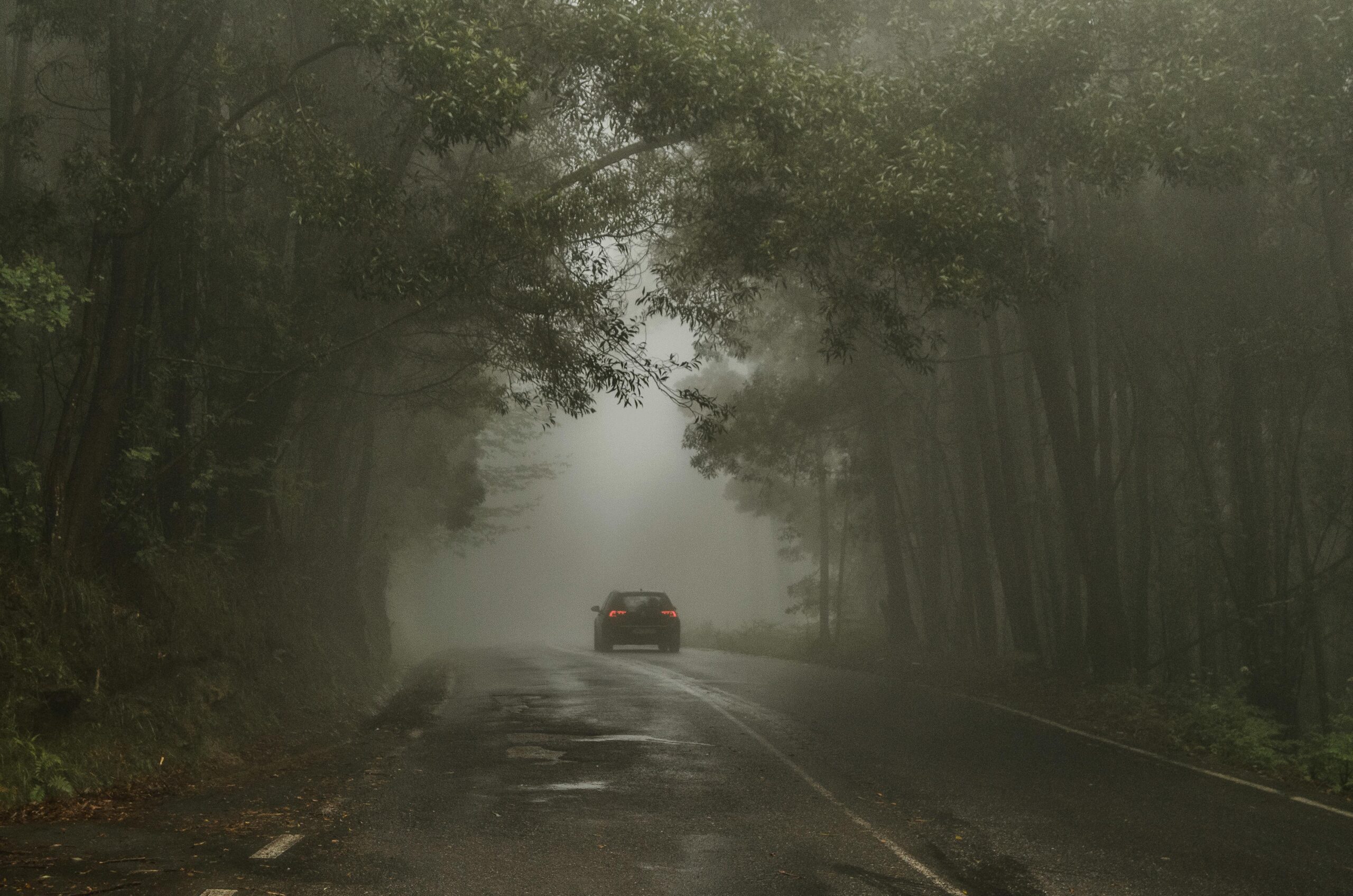 Mysterious foggy road scene in Galicia, Spain, evokes an atmospheric travel adventure.