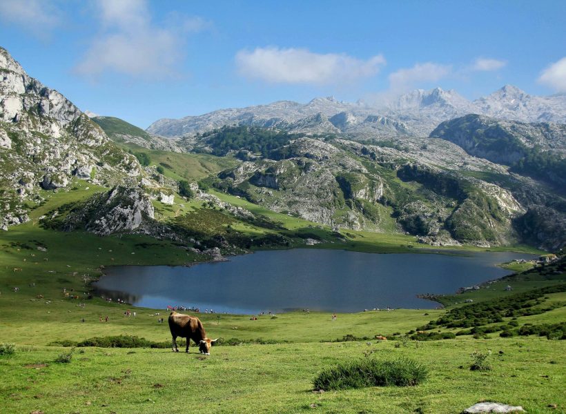 A picturesque landscape featuring a tranquil lake, mountains, and grazing cow in rural Europe.